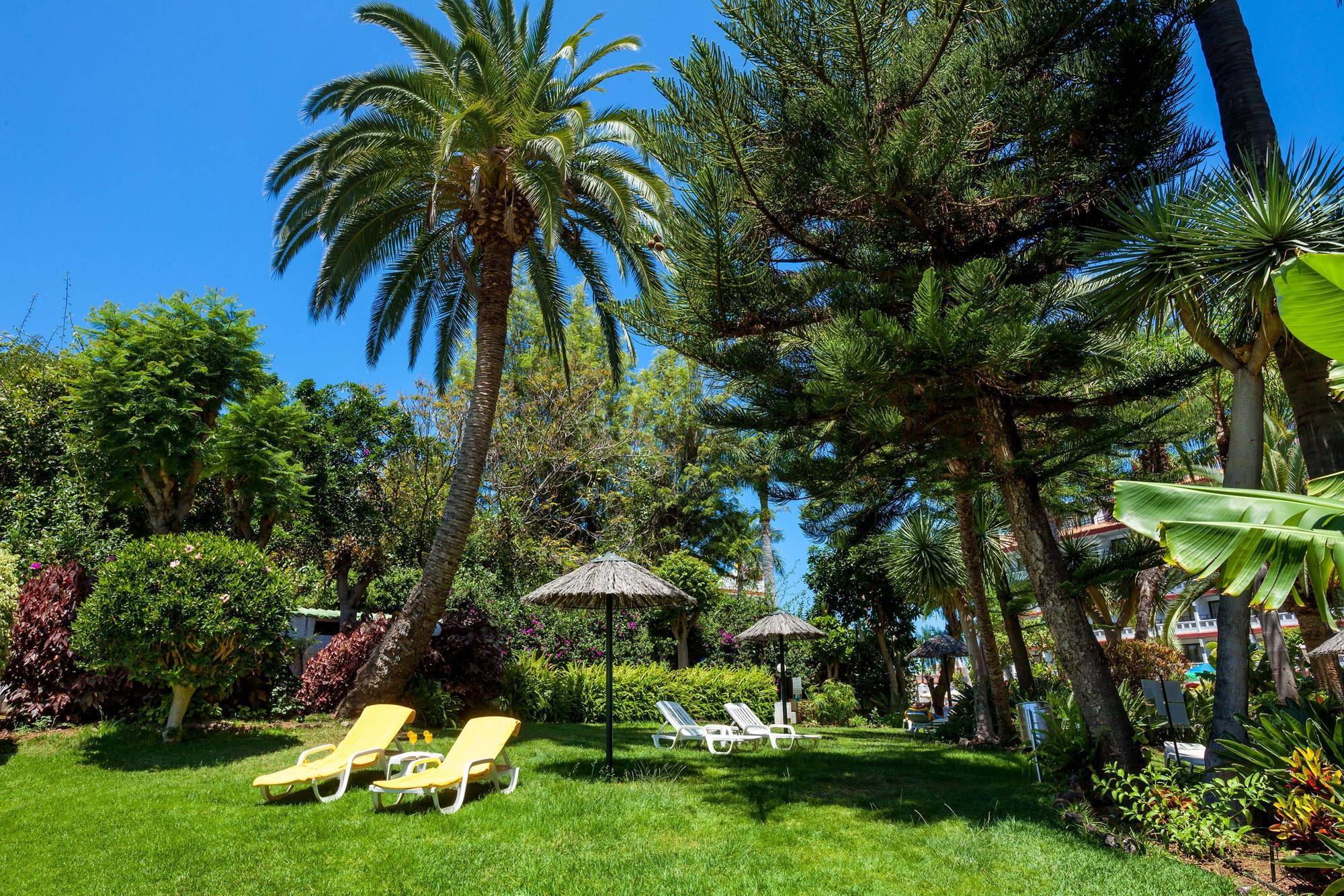 Masaru Appart hôtel Puerto de la Cruz (Tenerife)